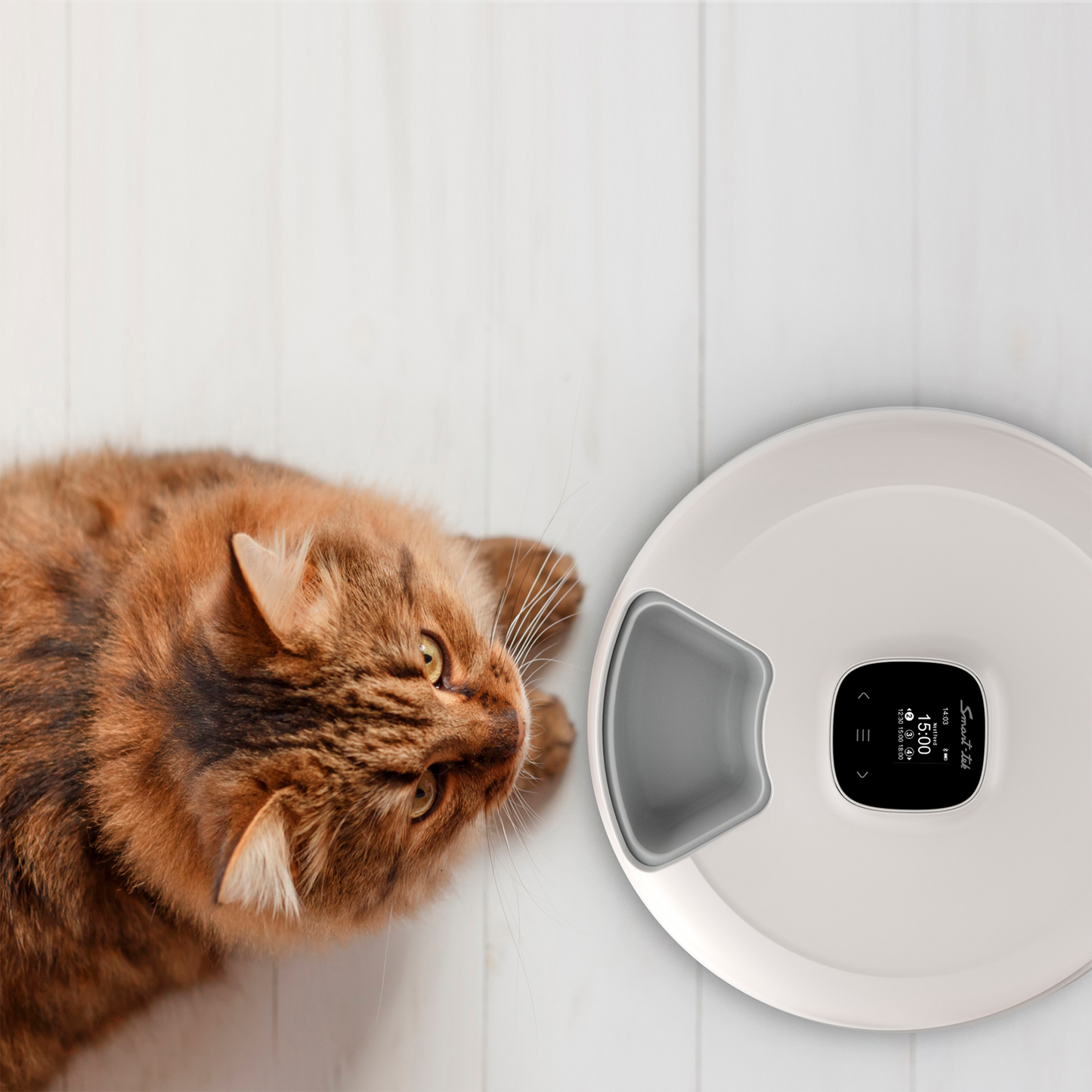 Racionador de alimentos Múltiple PF300