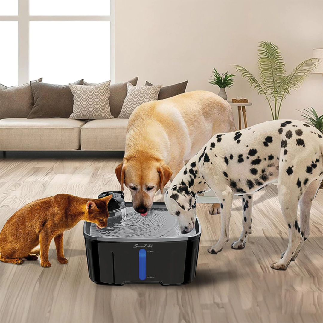 Bebedero Automático Grande Para Mascotas 8 Litros Smart-Tek