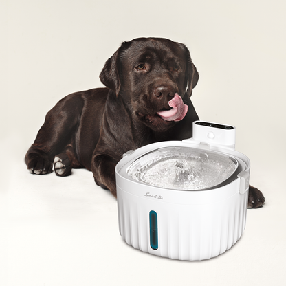 Filtro de Repuesto para Bebedero de Mascotas PW100 (Pack X3)