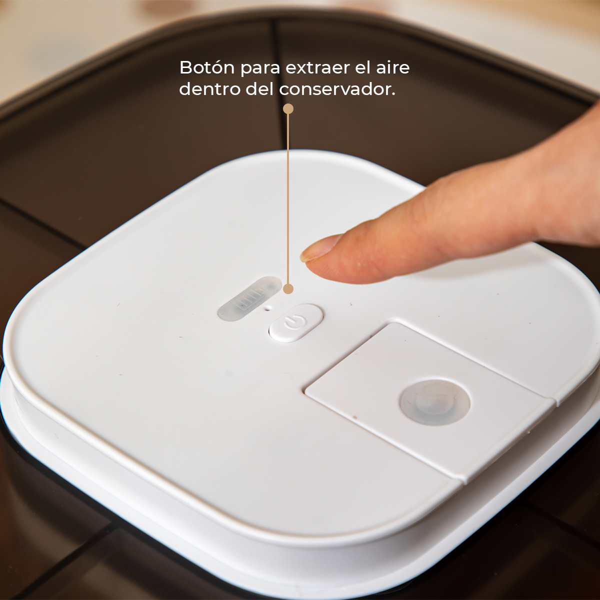 Contenedor Hermético de Alimento para Mascotas, con bomba de sellado al vacío - Azul