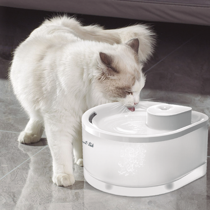 Filtro de Repuesto para Bebedero de Mascotas PW60 (Pack X3)